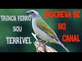 Trinca Ferro Sou Terrível ! CRIA  E PRESERVAR ...