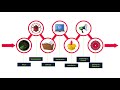 Mastering the Cyber Kill Chain | TryHackMe Walkthrough & Key Concepts