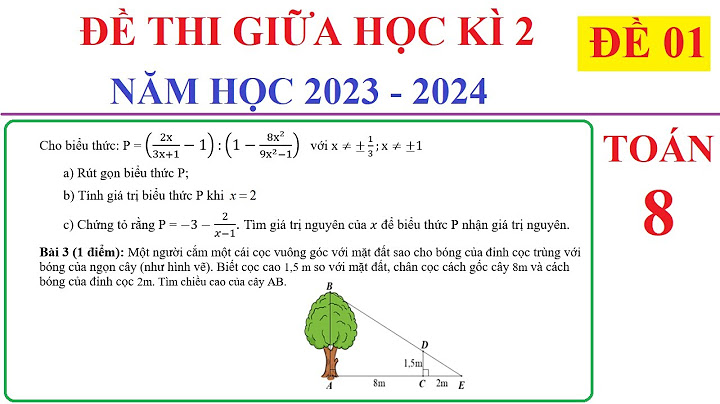 Giải bài tập sách giáo khoa toán 9 tập 2 năm 2024
