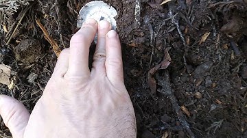 DAILY COMPOST TEMP CHECK