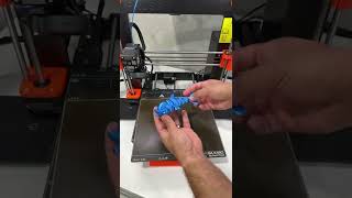 3d printed dolphin by Flexi
