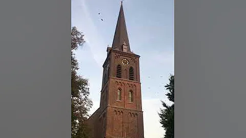 Macharen (NL): Kerkklokken Sint-Petrus' Bandenkerk (Plenum)