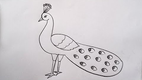how to draw peacock drawing easy step by step@Kids Drawing Talent