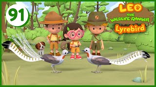 The Lyrebird  Leo The Wildlife Ranger (Episode 91)