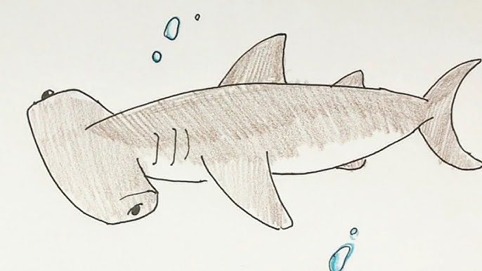 簡単イラスト シャチ編 描き方 Youtube 簡単イラスト シャチ編 描き方 Youtube