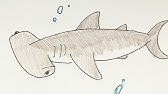 簡単 イルカの描き方 イラスト お絵描き Easy How To Draw Dolphins Illustration Drawing Youtube
