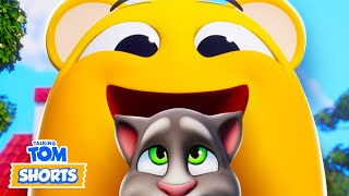 The Best Of The Pets! 😍🏅 Talking Tom Shorts Compilation