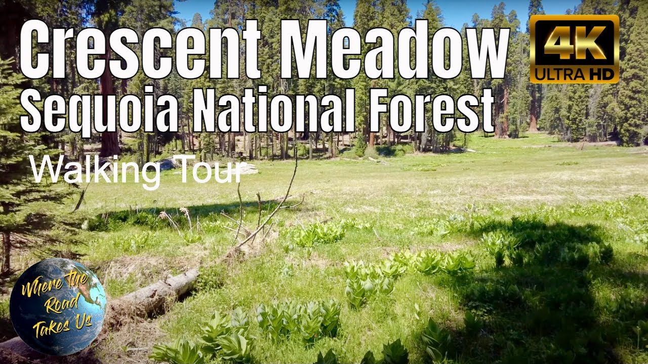 [4K] Crescent Meadow, Sequoia National Forest Walking Tour - WITH CAPTIONS