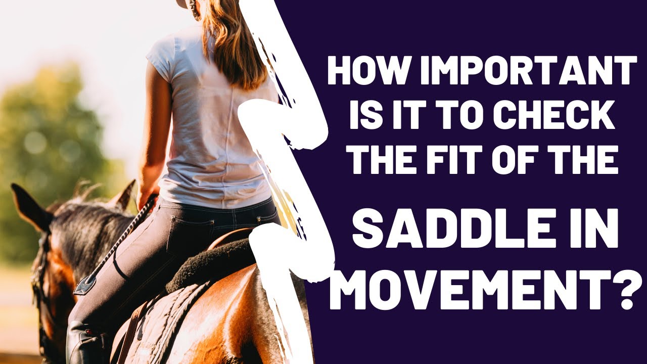 Checking the Fit of the Saddle in Movement | #ASKJochen Livestream Q&A ...