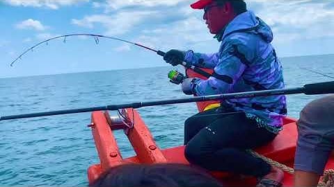 CÂU CÁ BIỂN 2 /câu jig cá bè trang, bè quỵt  Gặp Ổ Quá Lớn Cá Cắn Câu Kéo Không Kịp.