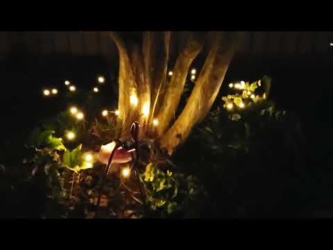 Gorrzai Solar Garden Lights Outdoor 4 Pack Solar Firefly Lights Review, Solar power by day, at night