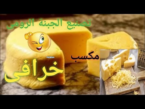 من بيتك مشروع تصنيع الجبنة الرومى ارباح خيالية