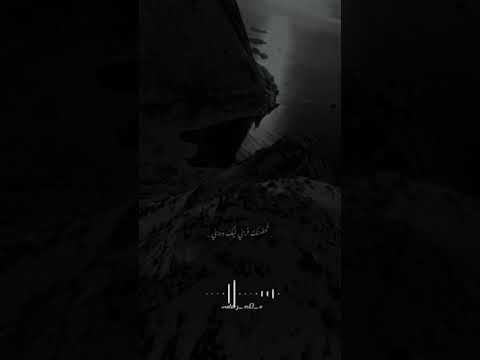 حالات واتس اب تامر حسنى يا واد يا معدى  حالات واتس اب   تامر حسني