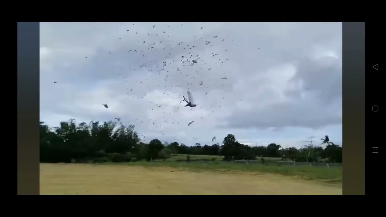 PILI. First Lap .YoungBirds