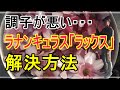 [ガーデニング] ラナンキュラス「ラックス」の育て方～調子が悪い時の解決方法～「プロガーデナーが一年かけてお届けするラナンキュラス「ラックス」の育て方」