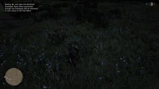 Red Dead Redemption Evergreen Huckleberry location