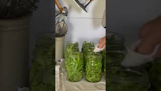 Raw Pack Green Beans | Canning homesteading cannedfood shorts