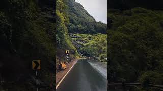Nature Calling 🌳 #nature #adventure #travel #trending #viral #shortsfeed #motovlog #roadtrip #rider