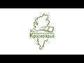 Семинар «Грантовая программа «Документальное кино Красноярья»: от заявки до реализации проекта»