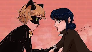 Fall p5 | Miraculous Ladybug Comic Dub