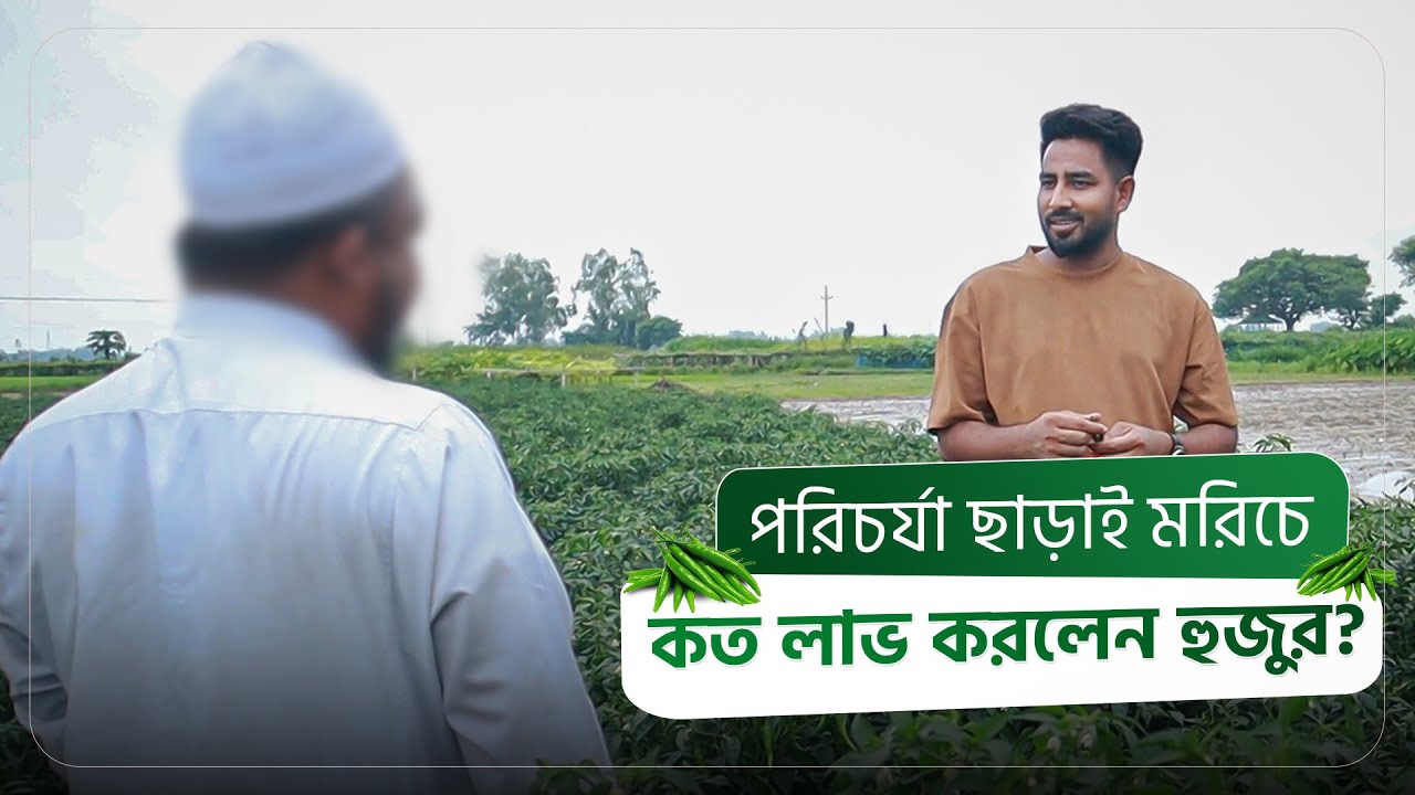 ফলন না পেয়ে পরিচর্যা ছেড়ে দেন, এখন সেই ফসলই সোনার খনি ।