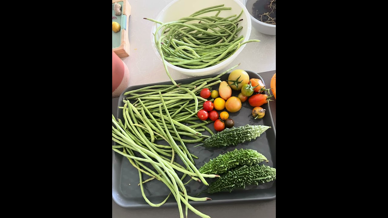 “A Little Piece of Nature 🌿 | Our Australian Home Garden”