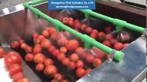 tomato washing grading machine, tomato processing machine