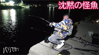 堤防お尻の泳がせに怪物が来ると人はこうなる【沈黙の怪魚】