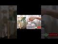 Automatic Pet Feeder | Easy &amp; Smart Feeding for Your Pets #shortvideo