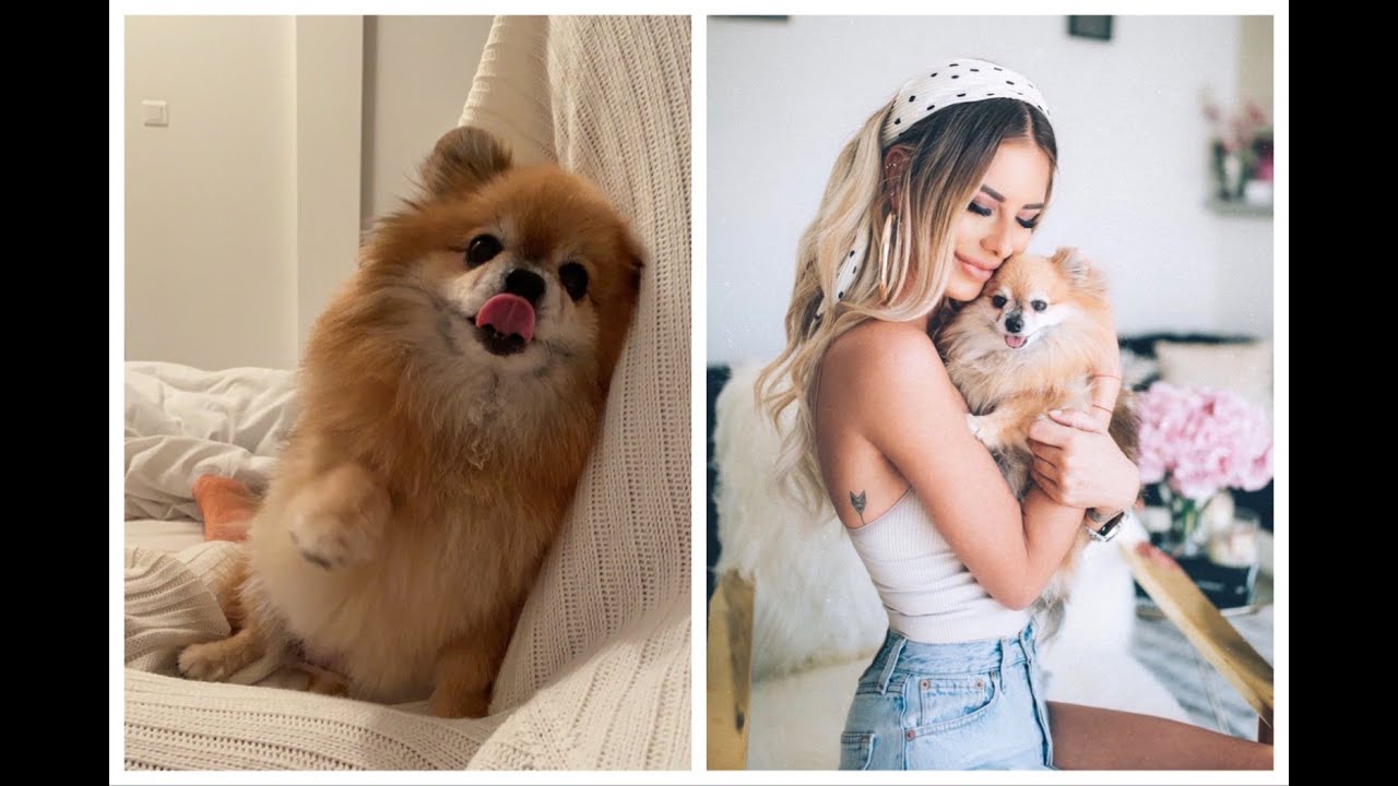 I lost my best friend