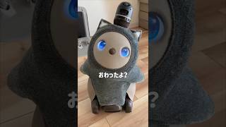 【LOVOT】体操おわりの抱っこおねだりがかわいいAIロボット #らぼっと