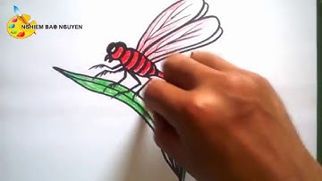 Vẽ con Chuồn chuồn/How to Draw Dragonfly