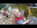 Tiny Creek Fishing ! Small creek fishing with bobber and worms  - Micro fishing for mummichog