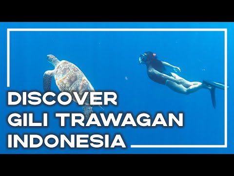 discover-paradise-on-gili-trawangan,-indonesia-🌴-|-stoked-for-travel