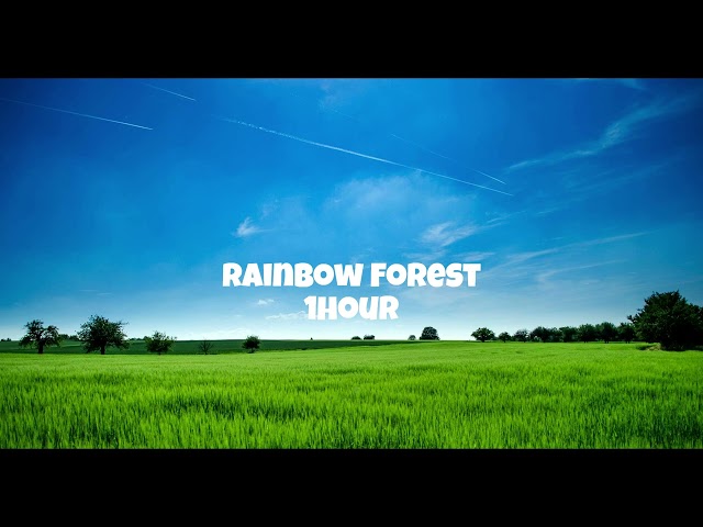 Quincas Moreira / Rainbow Forest　1hour class=