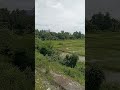 Beautiful ស្រស់ស្អាត #nature #ricefields #fresh #cambodia #mountain