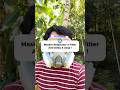 Masker Respirator Full Face 6 in 1 😷 Anti Asap, Debu & Zat Kimia Pabrik 🌿