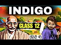 Indigo class 12 in hindi  full     explained  indigo class 12  flamingoch5