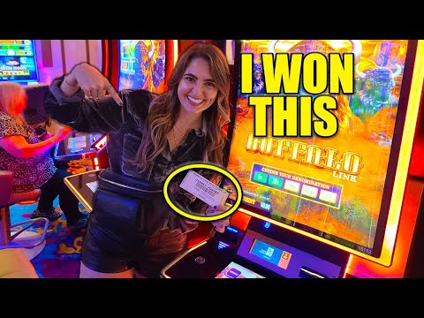 We Had The MOST EPIC JACKPOT RUN on Buffalo Link w/$1,000 ONLY!