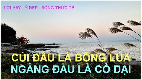 Cúi đầu là bông lúa, Ngẩng đầu là cỏ dại - Lời Hay.