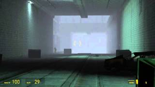 Half-Life 2: Best Crossbow shot of all time! You must see!