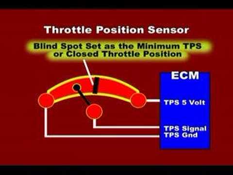 Installing the Throttle Position Sensor (TPS) - Patton Machine