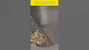 AI  powered Pistachio Color Sorter#pistachio #nutssort #nutssorter #nutshell WhatsApp:8618326129021