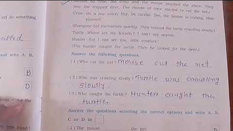 STD 6 SEM 2 UNIT 5 FIFTH OF THE SIXTH #Std6Sem2english #std6english #unit5fifthofthesixthenglish