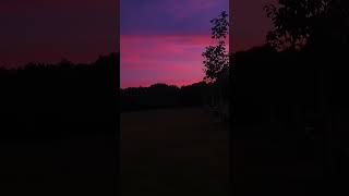 #LIVE #SHEPHERDS #DELIGHT #SUNSET #ST #JOHN'S #LYE #PARK #WEATHER #FORECAST #UK2023.☀️🌄🌇🏞️😎👍