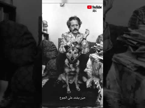 في طنجة لم أرى الخبز الكثير الذي وعدتني أمي به الخبز الحافي لمحمد شكري