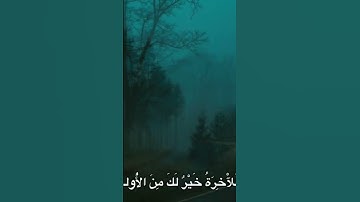 سورة الضحى بصوت الشيخ محمد صديق المنشاوي.              #اكسبلور #اكسبلورهاشتاقات #لايك #المصحف