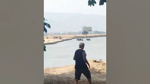 Elephants crossing the Zambezi River