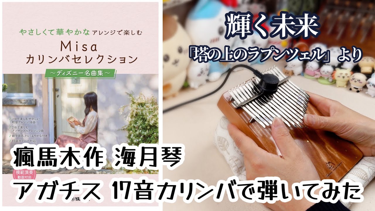 カリンバ演奏◇輝く未来『塔の上のラプンツェル』より 瘋馬木作 海月琴 