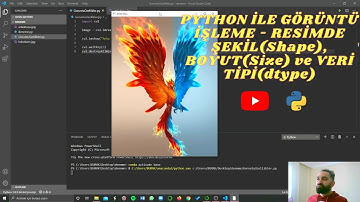 Python OpenCV ile Görüntü İşleme -  Resimde Şekil (Shape), Boyut (Size) ve Veri Tipi (dtype)